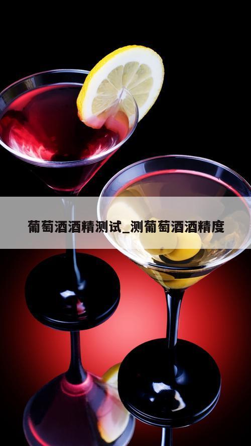 葡萄酒酒精测试_测葡萄酒酒精度